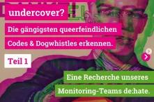 Screenshot "Queerfeindlichkeit undercover? Die gängigsten queerfeindlichen Codes und Dogwhistles erkennen, Teil 1. Eine Recherche unseres Monitoring-Teams de:hate"