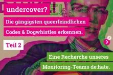 Screenshot "Queerfeindlichkeit undercover? Die gängigsten queerfeindlichen Codes und Dogwhistles erkennen, Teil 2. Eine Recherche unseres Monitoring-Teams de:hate"