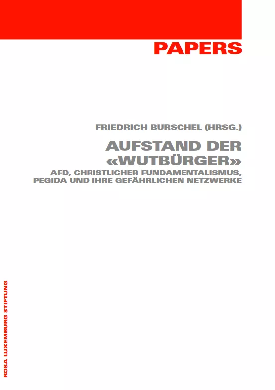 Screenshot der Publikation "Aufstand der «Wutbürger»"