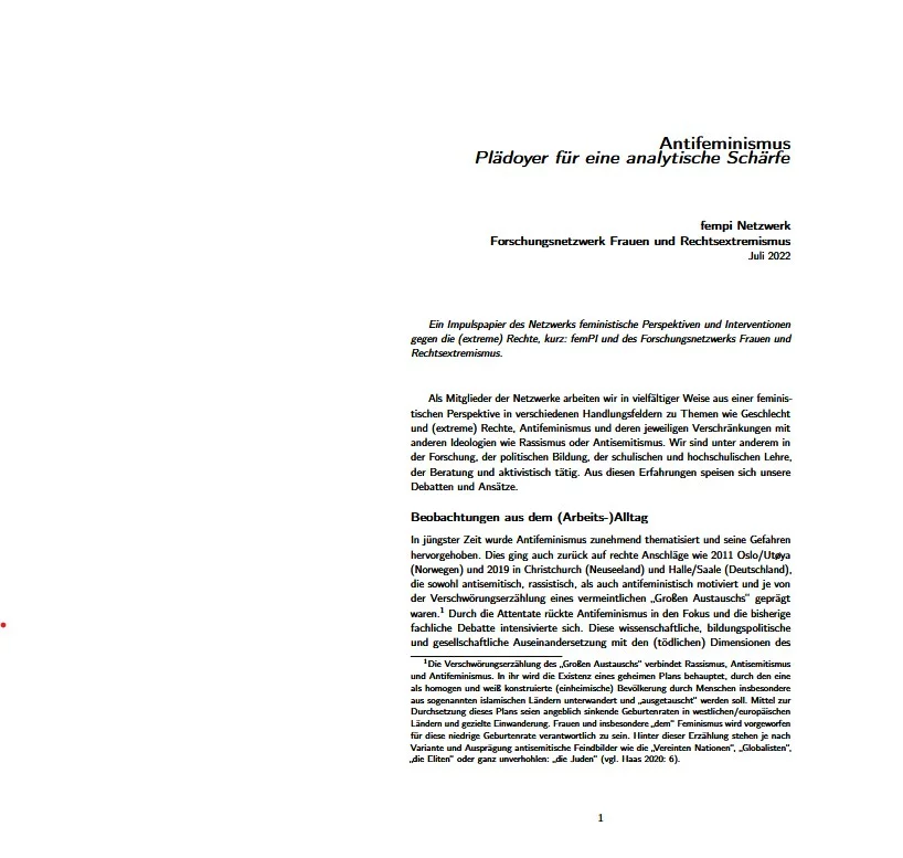 Erste Seite der pdf-Datei: Weiße Seite mit schwarzem Fließtext.